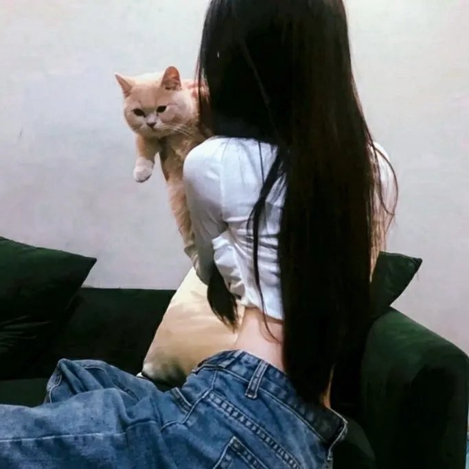 杀无尽